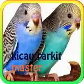Free play online Kicauan Burung Parkit mp3 APK Free play online Kicauan Burung Parkit mp3 APK