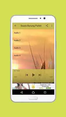 Play Kicauan Burung Parkit mp3