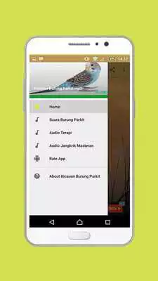 Play Kicauan Burung Parkit mp3
