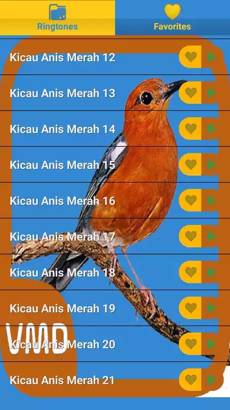 Play Kicau Anis Merah Master