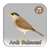 Free play online Kicau Anis Sulawesi Gacor APK Free play online Kicau Anis Sulawesi Gacor APK