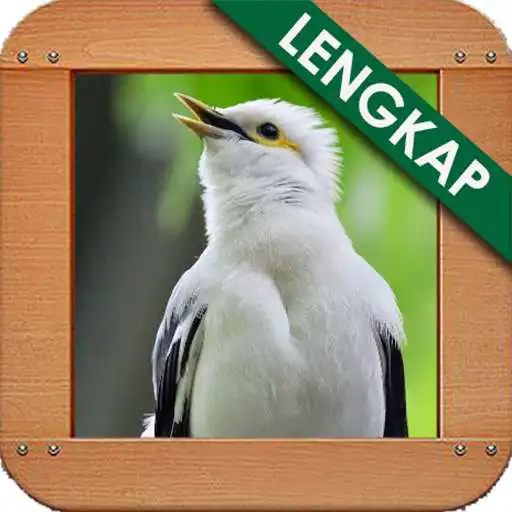 Play APK Kicauan Ngekek Jalak Putih  and enjoy Kicauan Ngekek Jalak Putih with UptoPlay com.kicaustudio.kicauanngekekjalakputih