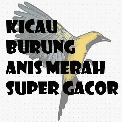 Play KICAU BURUNG ANIS MERAH SUPER GACOR APK