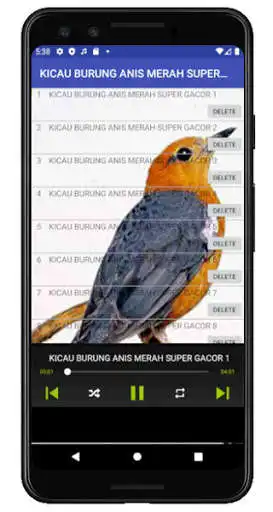 Play KICAU BURUNG ANIS MERAH SUPER GACOR  and enjoy KICAU BURUNG ANIS MERAH SUPER GACOR with UptoPlay