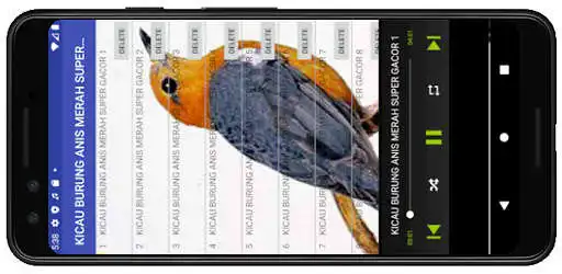 Play KICAU BURUNG ANIS MERAH SUPER GACOR as an online game KICAU BURUNG ANIS MERAH SUPER GACOR with UptoPlay
