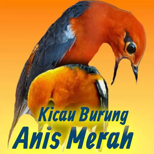 Play Kicau Burung Anis Merah Terlengkap Mp3 Offline APK Play Kicau Burung Anis Merah Terlengkap Mp3 Offline APK