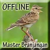 Free play online Kicau Burung Branjangan Gacor APK