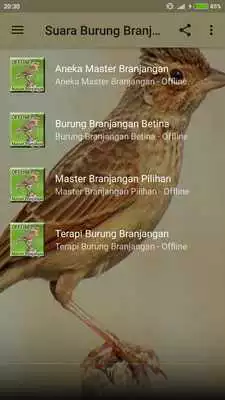 Play Kicau Burung Branjangan Gacor