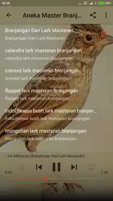 Play Kicau Burung Branjangan Gacor