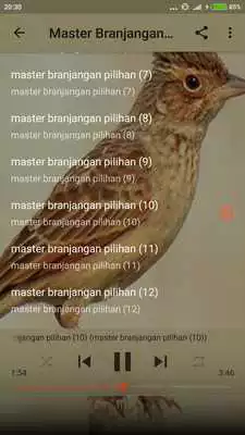 Play Kicau Burung Branjangan Gacor