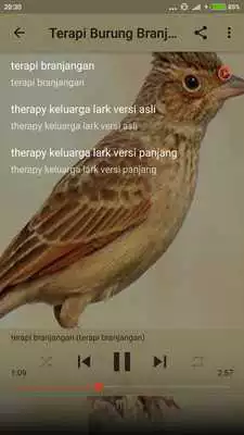 Play Kicau Burung Branjangan Gacor