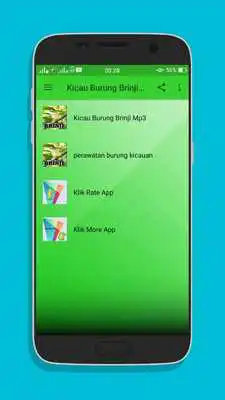 Play Kicau Burung Brinji Top Mp3