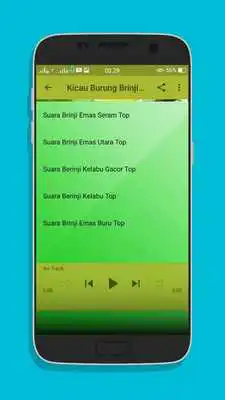 Play Kicau Burung Brinji Top Mp3