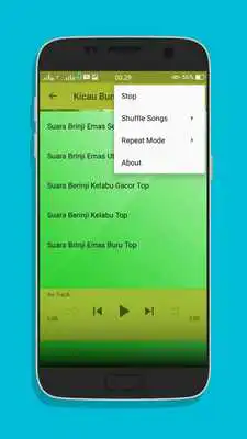 Play Kicau Burung Brinji Top Mp3