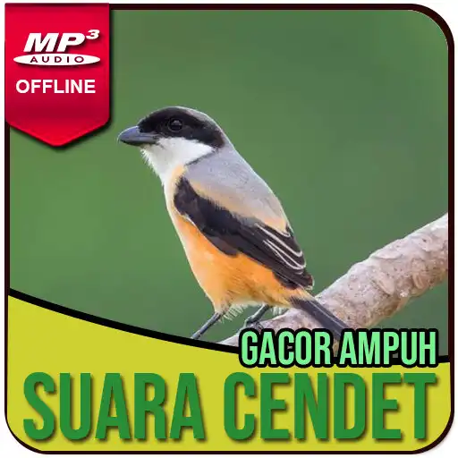 Play Kicau Burung Cendet Gacor APK Play Kicau Burung Cendet Gacor APK
