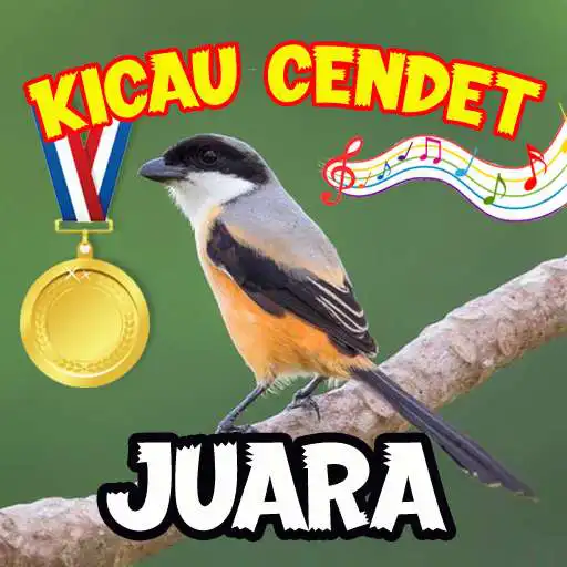 Play Kicau Burung Cendet Juara APK Play Kicau Burung Cendet Juara APK