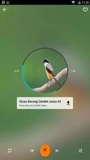 Play Kicau Burung Cendet Juara as an online game Kicau Burung Cendet Juara with UptoPlay