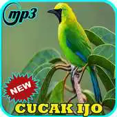 Free play online Kicau Burung Cucak Ijo Gacor APK Free play online Kicau Burung Cucak Ijo Gacor APK