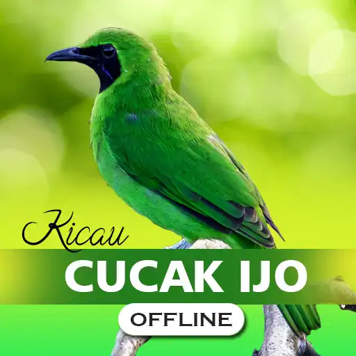 Play Kicau Burung Cucak Ijo Gacor APK