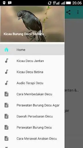 Play APK Kicau Burung Decu Terbaru  and enjoy Kicau Burung Decu Terbaru with UptoPlay com.hantoroApp.kicauburugdecu.terbaru