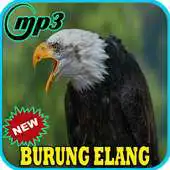 Free play online Kicau Burung Elang Gacor Mp3 APK Free play online Kicau Burung Elang Gacor Mp3 APK