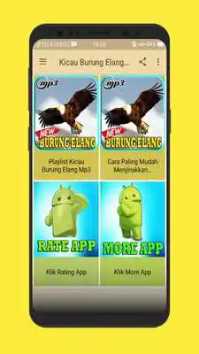 Play Kicau Burung Elang Gacor Mp3