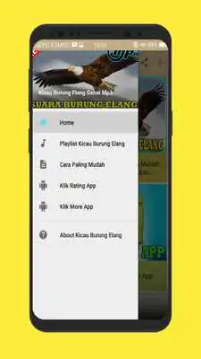 Play Kicau Burung Elang Gacor Mp3