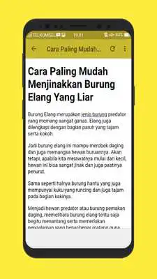 Play Kicau Burung Elang Gacor Mp3