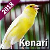 Free play online Kicau Burung Kenari Offline APK