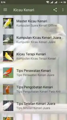 Play Kicau Burung Kenari Offline
