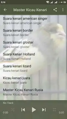 Play Kicau Burung Kenari Offline