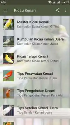 Play Kicau Burung Kenari Offline