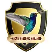 Free play online Kicau Burung Kolibri APK