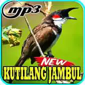 Free play online Kicau Burung Kutilang Jambul APK