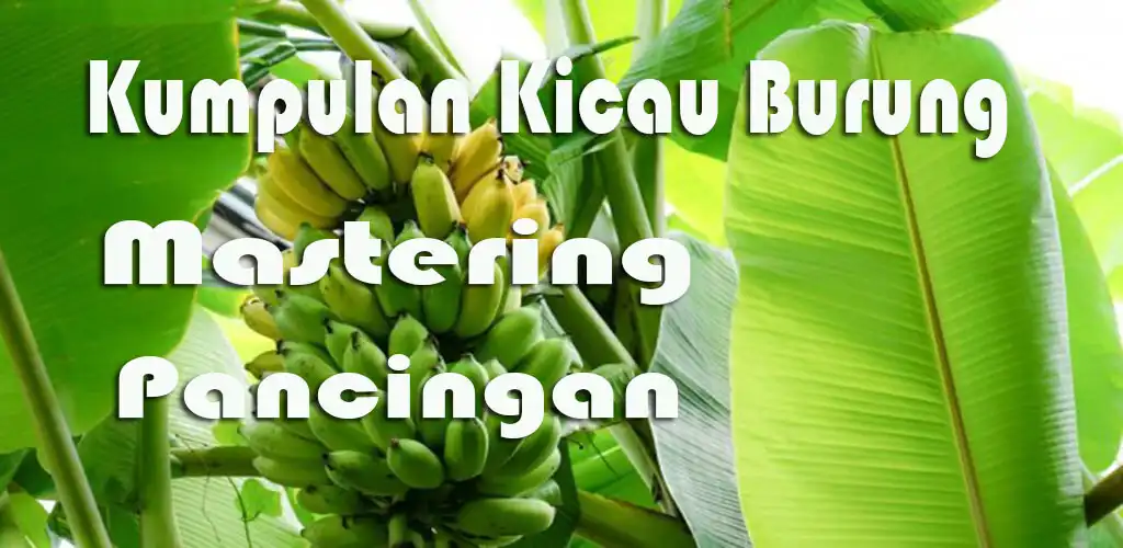Play Kicau Burung Lengkap Offline  and enjoy Kicau Burung Lengkap Offline with UptoPlay