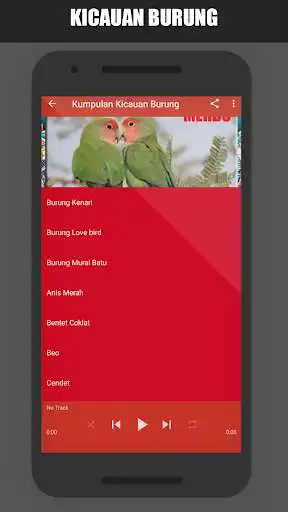 Play Kicau Burung Lengkap Terbaru as an online game Kicau Burung Lengkap Terbaru with UptoPlay