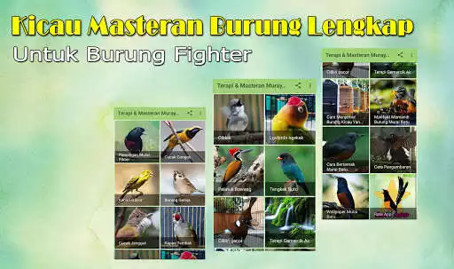 Play APK Kicau Burung Masteran Lengkap  and enjoy Kicau Burung Masteran Lengkap with UptoPlay com.rainskov.kicauburungmasteran