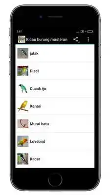Play Kicau Burung Masteran
