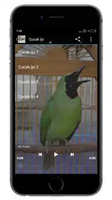 Play Kicau Burung Masteran