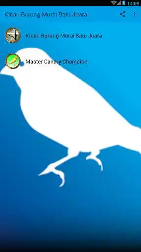 Play Kicau Burung Murai Batu Juara