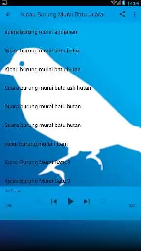 Play Kicau Burung Murai Batu Juara