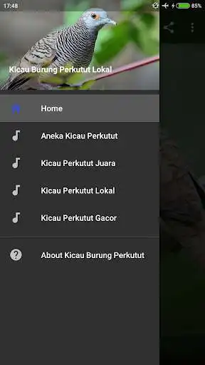 Play Kicau Burung Perkutut Lokal Gacor  and enjoy Kicau Burung Perkutut Lokal Gacor with UptoPlay