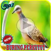 Free play online Kicau Burung Perkutut Terlengkap Mp3 APK Free play online Kicau Burung Perkutut Terlengkap Mp3 APK