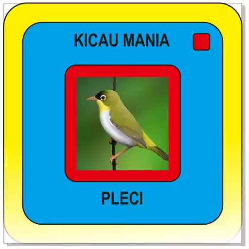Play Kicau burung pleci APK