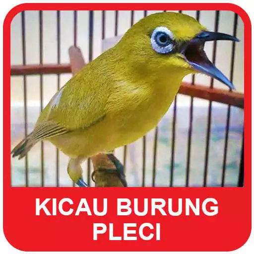 Run free android online Kicau Burung Pleci Mania APK Run free android online Kicau Burung Pleci Mania APK