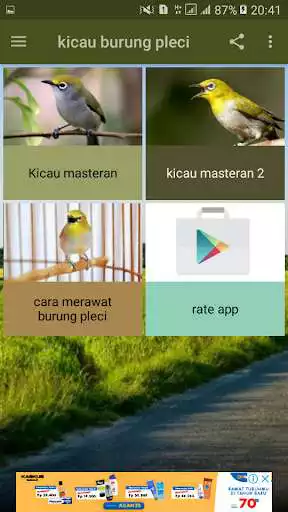 Play Kicau Burung Pleci