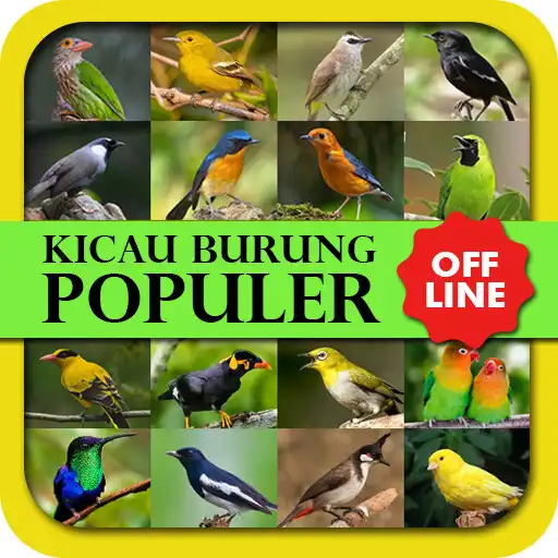 Play Kicau Burung Populer Offline APK