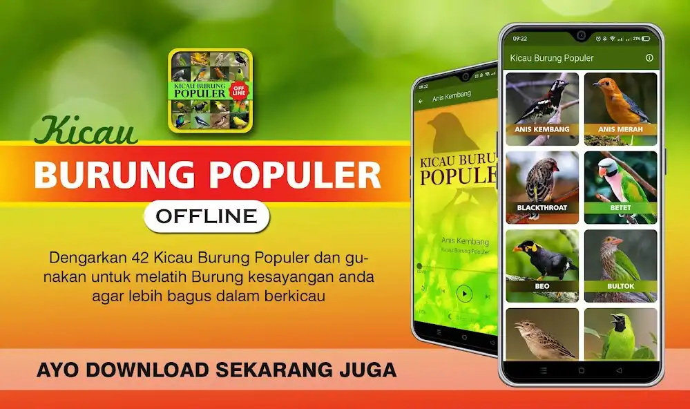Play Kicau Burung Populer Offline  and enjoy Kicau Burung Populer Offline with UptoPlay