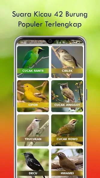 Play Kicau Burung Populer Offline as an online game Kicau Burung Populer Offline with UptoPlay