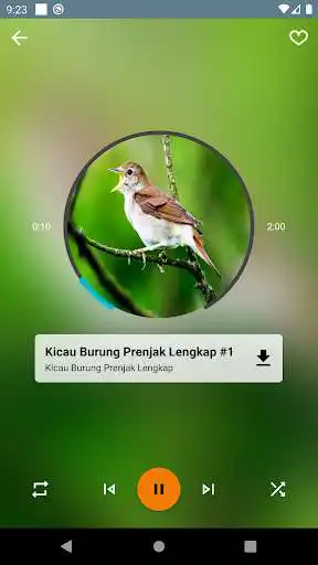 Play Kicau Burung Prenjak Lengkap as an online game online Kicau Burung Prenjak Lengkap with UptoPlay com.nafisaedukasi.kicauburungprenjaklengkap Play Kicau Burung Prenjak Lengkap as an online game Kicau Burung Prenjak Lengkap with UptoPlay